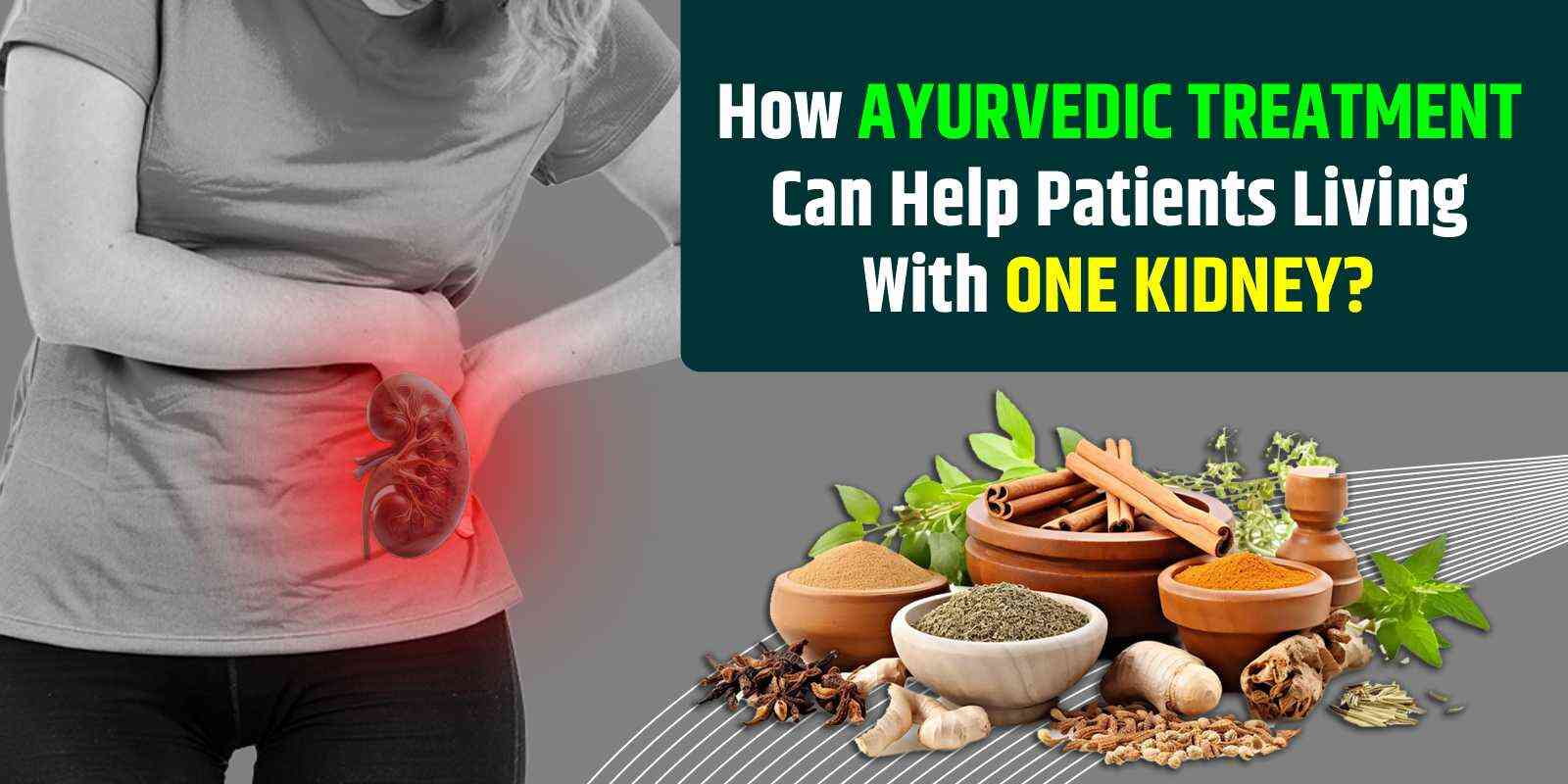 Ayurvedic Treatment for Kidney